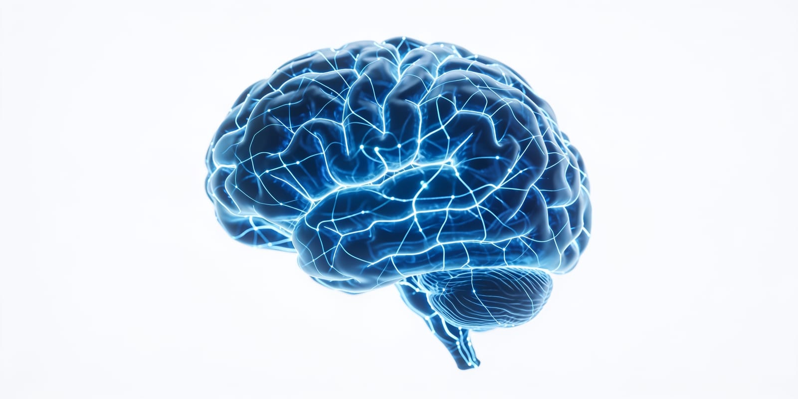Künstliche Intelligenz, neuronales Netz